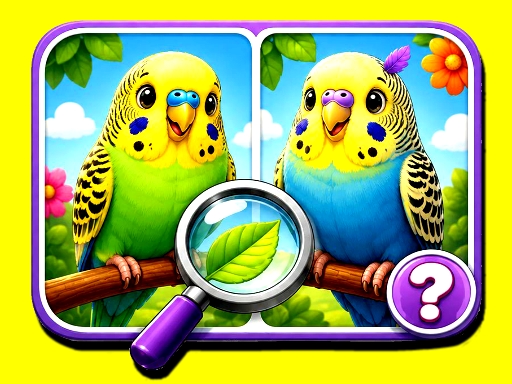 Budgie Spot the Difference